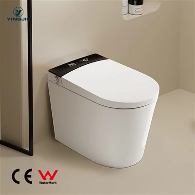 Moderne Smart Toilet